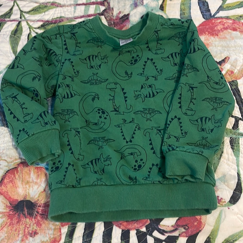 Dinosaur sweater